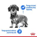 ROYAL CANIN CCN Mini Light Weight Care 3kg Royal Canin