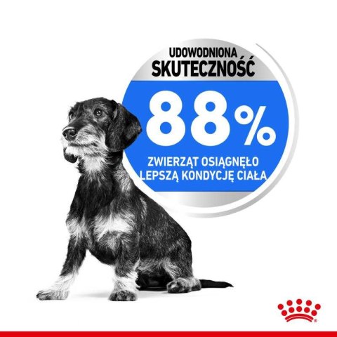 ROYAL CANIN CCN Mini Light Weight Care 3kg Royal Canin