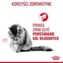 ROYAL CANIN Hairball Care 2kg Royal Canin