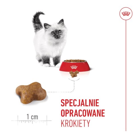 ROYAL CANIN Kitten 10kg Royal Canin