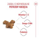 ROYAL CANIN Kitten 400g Royal Canin