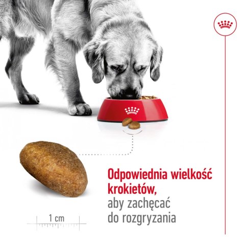 ROYAL CANIN Maxi Adult 15kg Royal Canin
