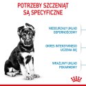 ROYAL CANIN Maxi Puppy 15kg Royal Canin