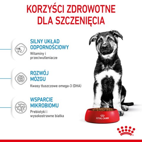 ROYAL CANIN Maxi Puppy 4kg Royal Canin