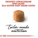 ROYAL CANIN Maine Coon Adult 2kg Royal Canin