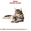 ROYAL CANIN Maine Coon Adult 400g Royal Canin