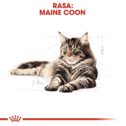 ROYAL CANIN Maine Coon Adult 400g Royal Canin
