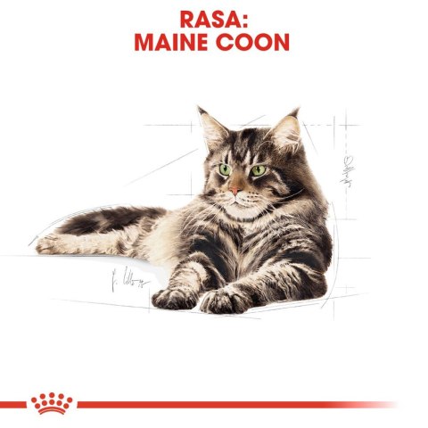 ROYAL CANIN Maine Coon Adult 400g Royal Canin