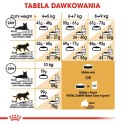 ROYAL CANIN Maine Coon Adult 400g Royal Canin
