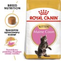 ROYAL CANIN Maine Coon Kitten 2kg Royal Canin