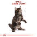 ROYAL CANIN Maine Coon Kitten 2kg Royal Canin