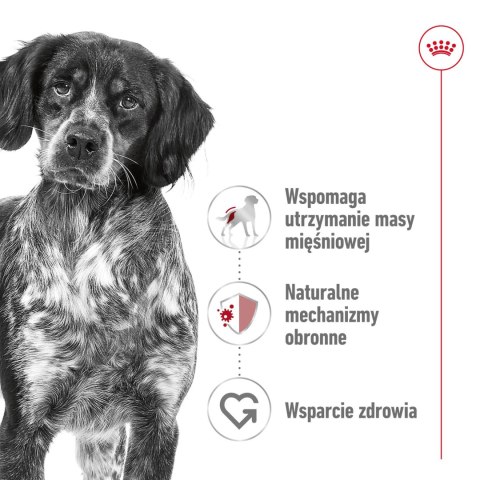ROYAL CANIN Medium Adult 15kg Royal Canin