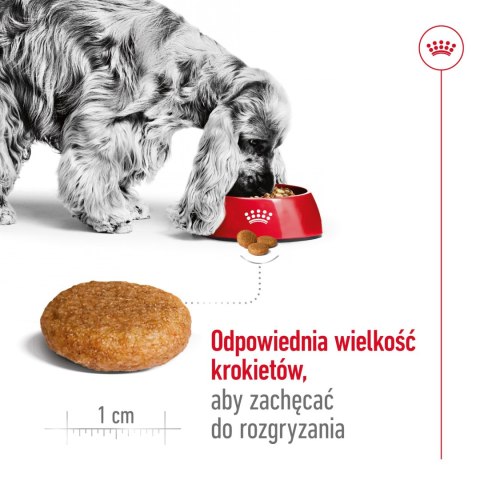 ROYAL CANIN Medium Adult 15kg Royal Canin