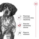 ROYAL CANIN Medium Adult 7+ 15kg Royal Canin