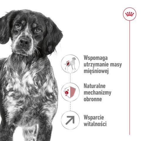 ROYAL CANIN Medium Adult 7+ 15kg Royal Canin