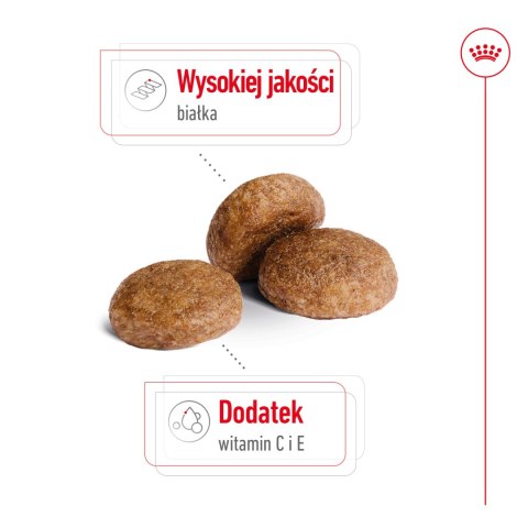 ROYAL CANIN Medium Adult 7+ 15kg Royal Canin