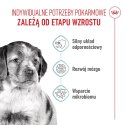 ROYAL CANIN Medium Puppy 4kg Royal Canin