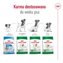 ROYAL CANIN Mini Adult 4kg Royal Canin