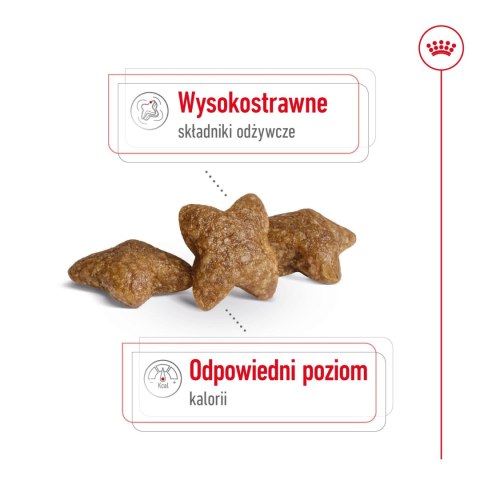 ROYAL CANIN Mini Adult 8kg Royal Canin