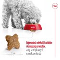 ROYAL CANIN Mini Adult 8kg Royal Canin