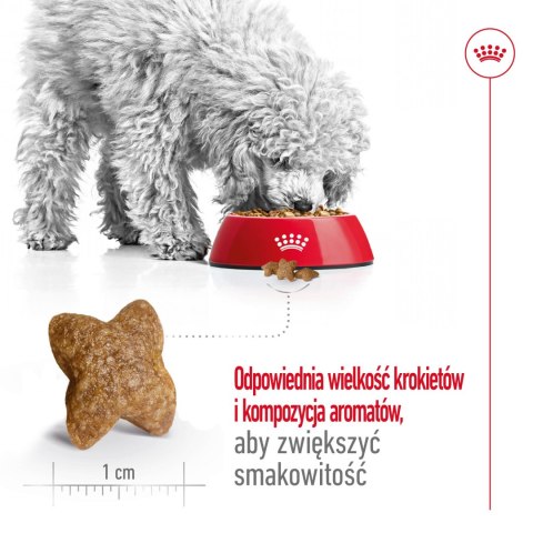 ROYAL CANIN Mini Adult 8kg Royal Canin