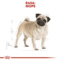 ROYAL CANIN Pug Adult 1,5kg Royal Canin