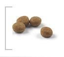 ROYAL CANIN Sterilised 37 2kg Royal Canin