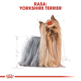 ROYAL CANIN Yorkshire Terrier Adult 500g Royal Canin