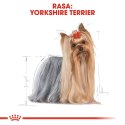 ROYAL CANIN Yorkshire Terrier Adult 7,5kg Royal Canin