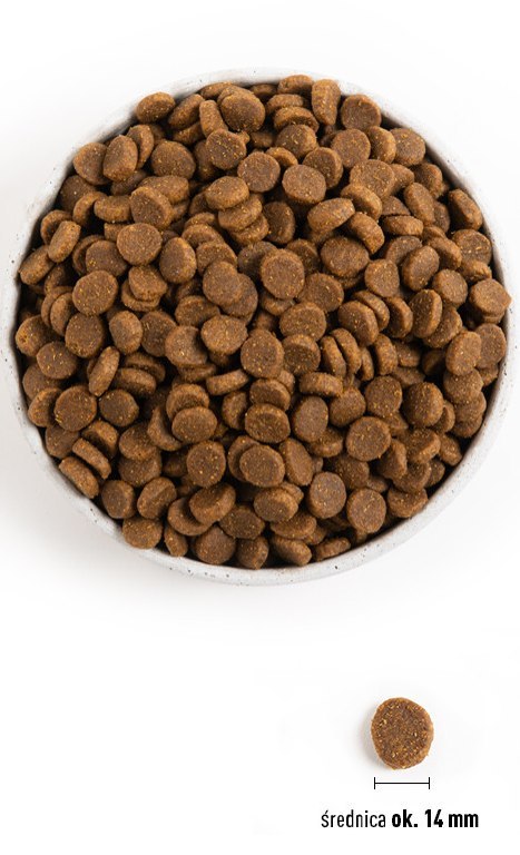 Nadwaga Acana Heritage Light & Fit Dog 11,4kg Acana
