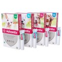 Bayer Advantix Krople Na Kleszcze I Pchły 2,5ml Bayer