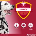 Bayer Advantix Krople Na Kleszcze I Pchły 4x4ml Bayer