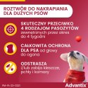 Bayer Advantix Krople Na Kleszcze I Pchły 4ml Bayer