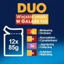 Felix Duo Wiejskie Smaki W Galaretce Z Mięsem 12x85g Felix