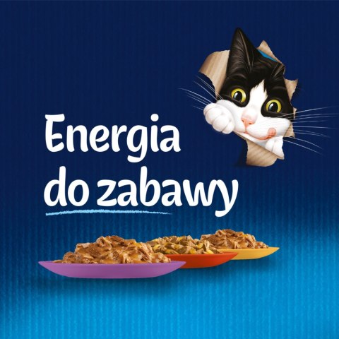Felix Fantastic Mix Mięsny W Galaretce 44x85g Felix
