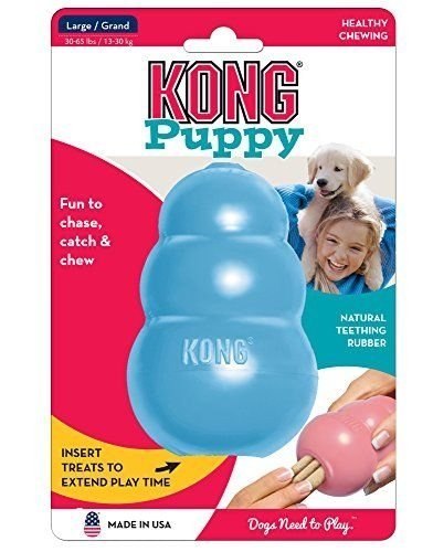 KONG Company Puppy L KONG Company