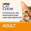 Purina Cat Chow Adult Kurczak I Cukinia 85g Purina Cat Chow