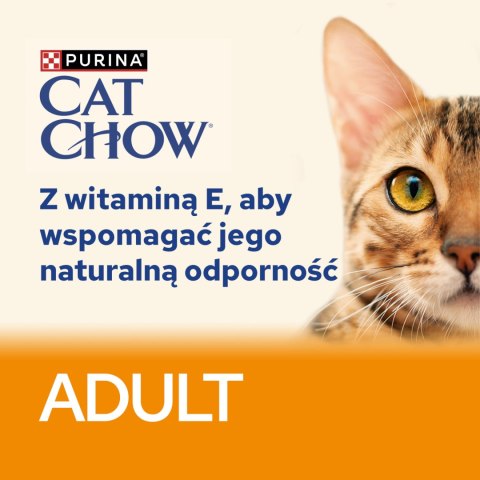 Purina Cat Chow Adult Wołowina Z Bakłażanem 85g Purina Cat Chow