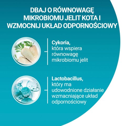 Purina One Cat Adult Z Kurczakiem Dla Kota 1,5kg PURINA ONE