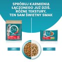 Purina One Cat Sterilcat Karma Z Wołowiną Dla Kota 800g PURINA ONE