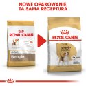 ROYAL CANIN Beagle Adult 12kg Royal Canin