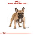 ROYAL CANIN French Bulldog Adult 1,5kg Royal Canin