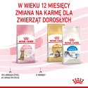 ROYAL CANIN Kitten Sterilised 400g Royal Canin