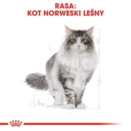 ROYAL CANIN Norwegian Forest Cat Adult 2kg Royal Canin