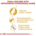 ROYAL CANIN Norwegian Forest Cat Adult 2kg Royal Canin