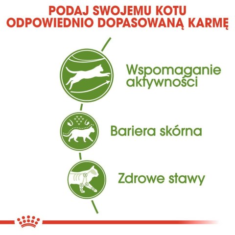 ROYAL CANIN Outdoor 10kg Royal Canin