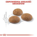 ROYAL CANIN Outdoor 10kg Royal Canin