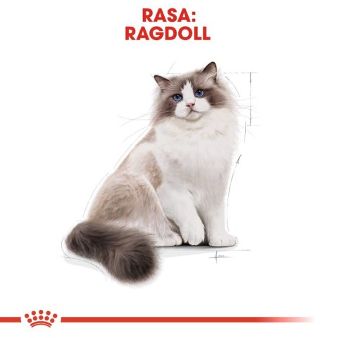 ROYAL CANIN Ragdoll Adult 10kg Royal Canin
