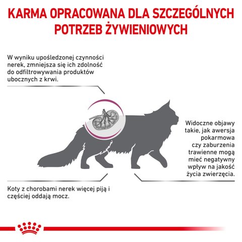 ROYAL CANIN Renal Feline 4kg Royal Canin weterynaria