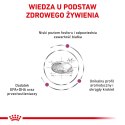 ROYAL CANIN Renal Feline 4kg Royal Canin weterynaria